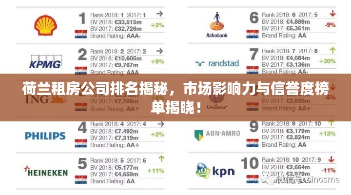 荷兰租房公司排名揭秘，市场影响力与信誉度榜单揭晓！