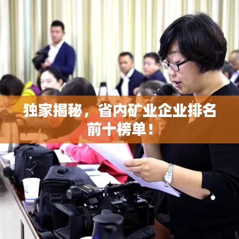 独家揭秘，省内矿业企业排名前十榜单！
