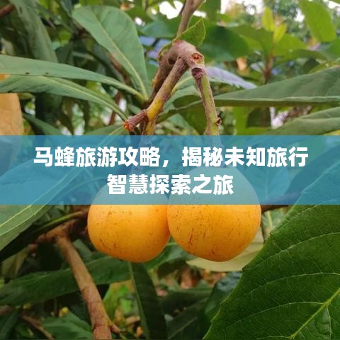 马蜂旅游攻略，揭秘未知旅行智慧探索之旅