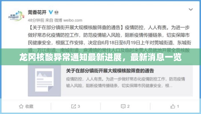 龙冈核酸异常通知最新进展，最新消息一览