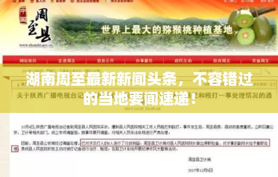 湖南周至最新新闻头条，不容错过的当地要闻速递！