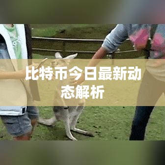 比特币今日最新动态解析