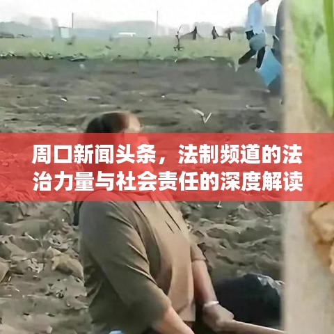 周口新闻头条，法制频道的法治力量与社会责任的深度解读