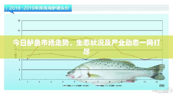 今日鲈鱼市场走势、生态状况及产业动态一网打尽