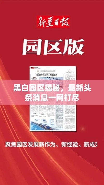 黑白园区揭秘，最新头条消息一网打尽