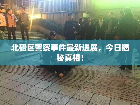 北碚区警察事件最新进展，今日揭秘真相！