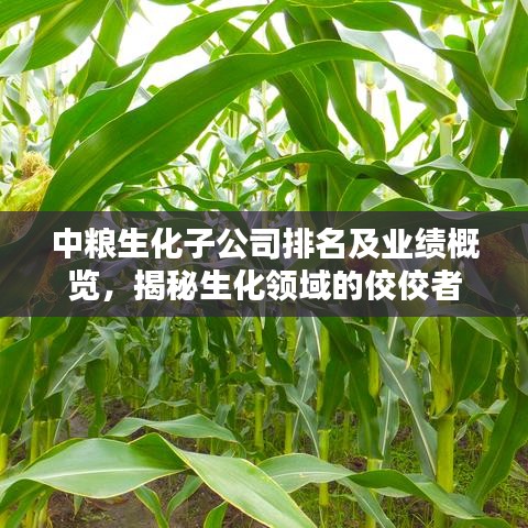 中粮生化子公司排名及业绩概览，揭秘生化领域的佼佼者