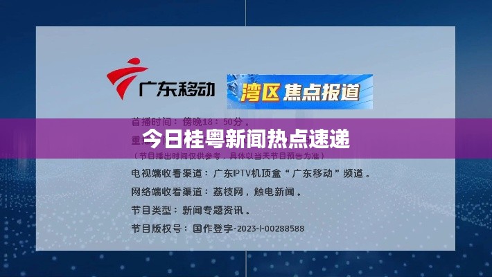 今日桂粤新闻热点速递