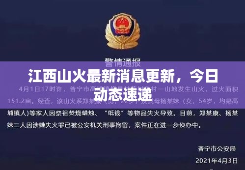 江西山火最新消息更新，今日动态速递