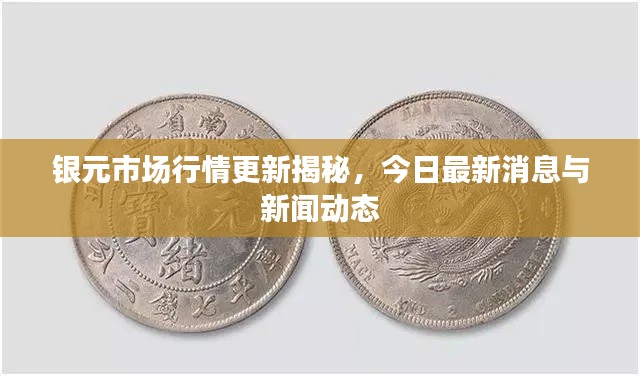 银元市场行情更新揭秘，今日最新消息与新闻动态