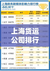 上海货运公司排行榜及行业影响力分析