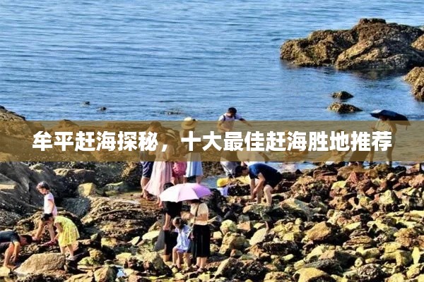牟平赶海探秘，十大最佳赶海胜地推荐