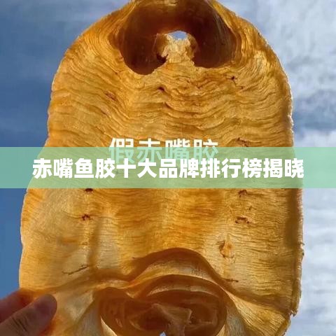赤嘴鱼胶十大品牌排行榜揭晓