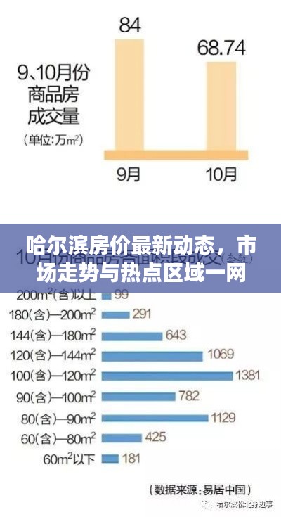 哈尔滨房价最新动态，市场走势与热点区域一网打尽