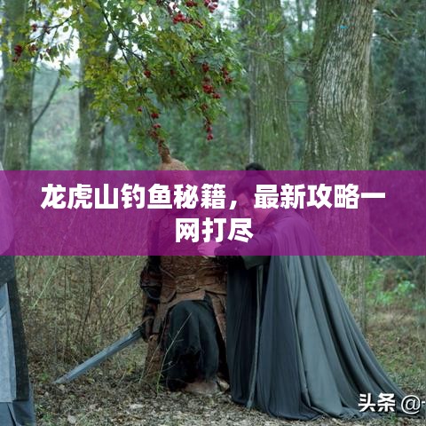 龙虎山钓鱼秘籍，最新攻略一网打尽