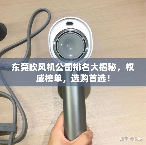 东莞吹风机公司排名大揭秘，权威榜单，选购首选！