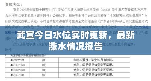 武宣今日水位实时更新，最新涨水情况报告