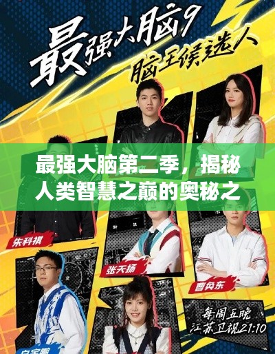 最强大脑第二季，揭秘人类智慧之巅的奥秘之旅