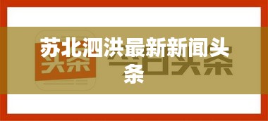 苏北泗洪最新新闻头条