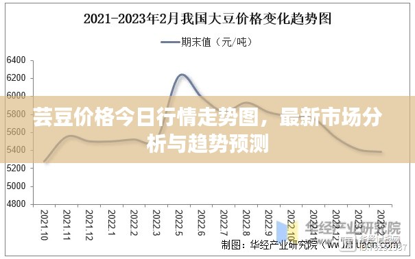 芸豆价格今日行情走势图，最新市场分析与趋势预测