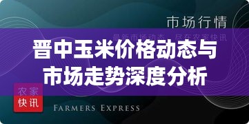 晋中玉米价格动态与市场走势深度分析