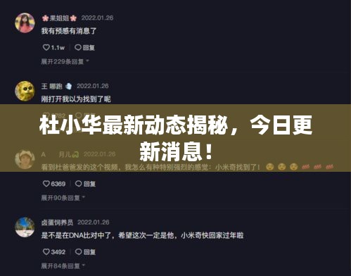 杜小华最新动态揭秘，今日更新消息！