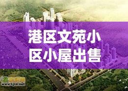港区文苑小区小屋出售最新消息揭秘！抢购倒计时启动！