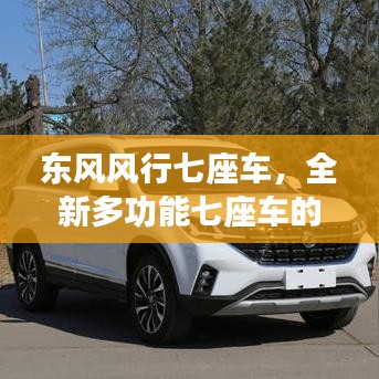 东风风行七座车，全新多功能七座车的无限魅力探索