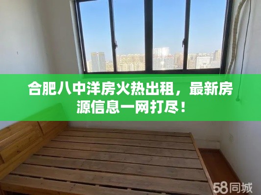 合肥八中洋房火热出租，最新房源信息一网打尽！