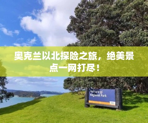 奥克兰以北探险之旅，绝美景点一网打尽！