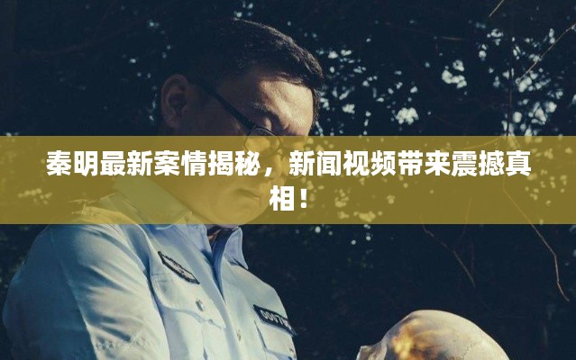 秦明最新案情揭秘，新闻视频带来震撼真相！