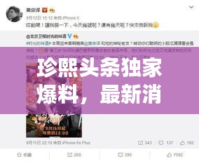 珍熙头条独家爆料，最新消息今日揭秘！