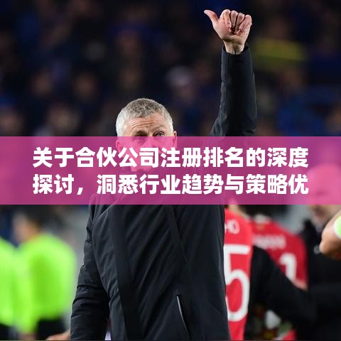 关于合伙公司注册排名的深度探讨，洞悉行业趋势与策略优化