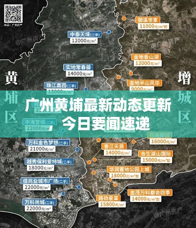 广州黄埔最新动态更新，今日要闻速递