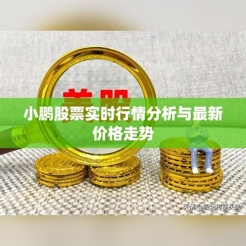 小鹏股票实时行情分析与最新价格走势
