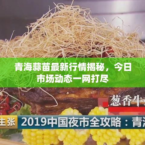 青海蒜苗最新行情揭秘，今日市场动态一网打尽