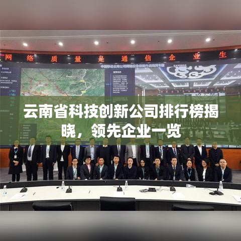 云南省科技创新公司排行榜揭晓，领先企业一览
