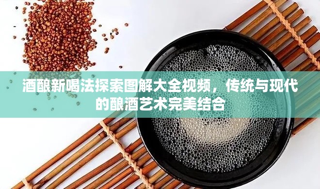 酒酿新喝法探索图解大全视频，传统与现代的酿酒艺术完美结合