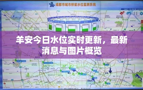 羊安今日水位实时更新，最新消息与图片概览