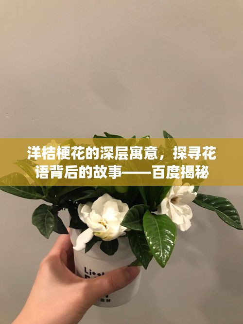 洋桔梗花的深层寓意，探寻花语背后的故事——百度揭秘
