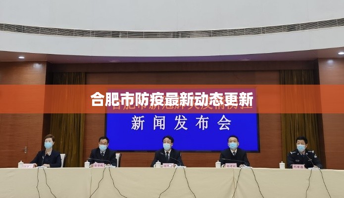 合肥市防疫最新动态更新
