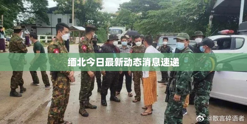 缅北今日最新动态消息速递