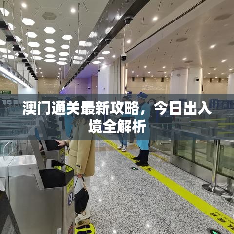 澳门通关最新攻略，今日出入境全解析
