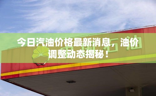 今日汽油价格最新消息，油价调整动态揭秘！