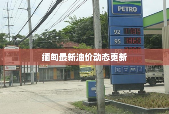 缅甸最新油价动态更新