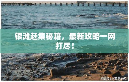 银滩赶集秘籍，最新攻略一网打尽！