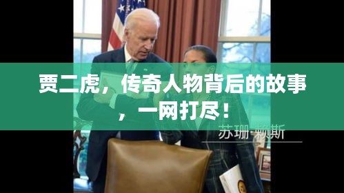 贾二虎，传奇人物背后的故事，一网打尽！