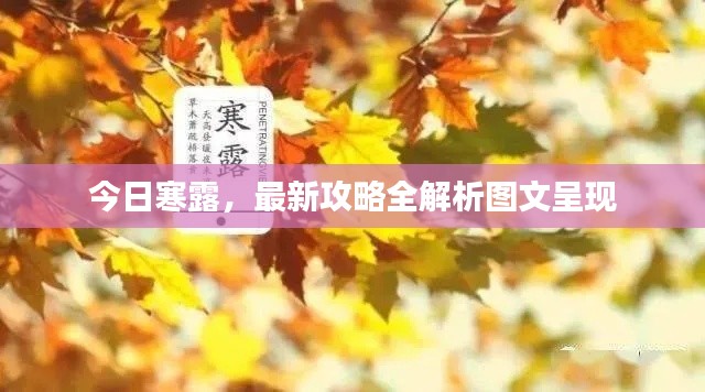 今日寒露，最新攻略全解析图文呈现