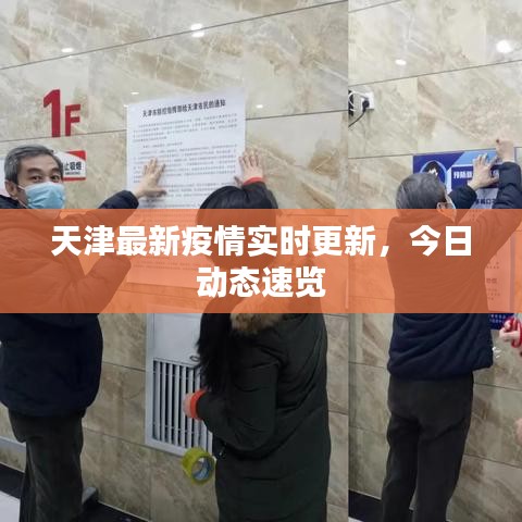 天津最新疫情实时更新，今日动态速览
