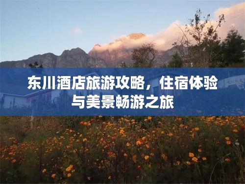 东川酒店旅游攻略，住宿体验与美景畅游之旅